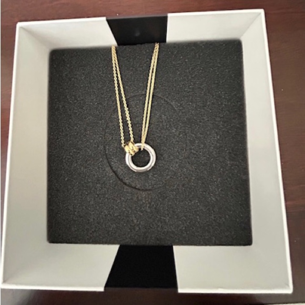 Calvin Klein Two-Tone Stainless Steel Logo Ring Layered Pendant Necklace 16”